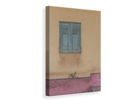 canvas-print-monkey-stroll