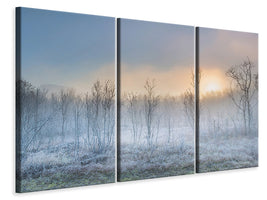 3-piece-canvas-print-a-touch-of-winter