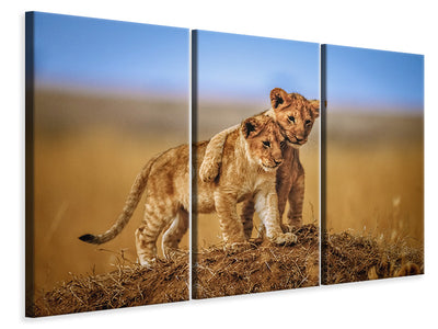 3-piece-canvas-print-brothers-for-life