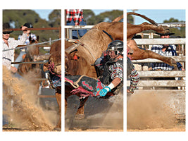 3-piece-canvas-print-bull-ride