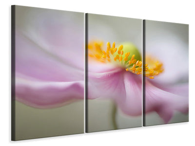3-piece-canvas-print-dreaminess