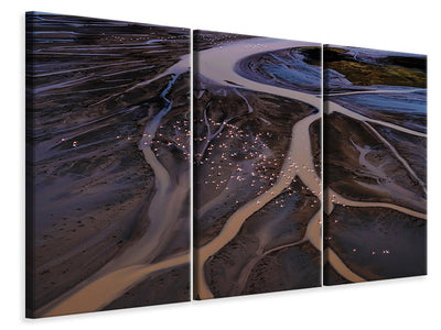 3-piece-canvas-print-flying-over-lake-magadi-i