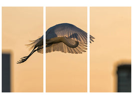 3-piece-canvas-print-jumping-with-a-golden-parachute