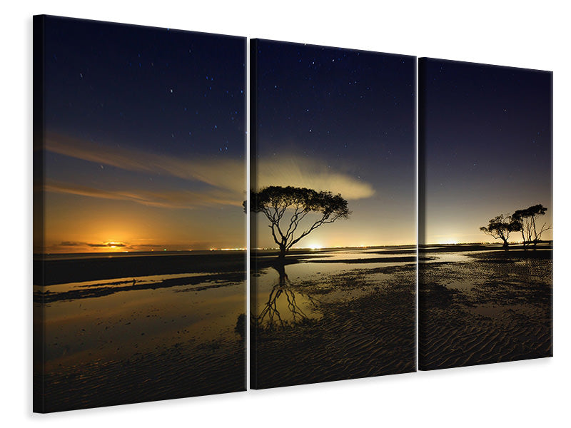 3-piece-canvas-print-moonrise