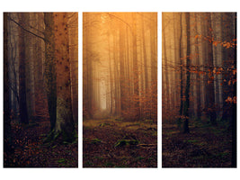 3-piece-canvas-print-mysterious-forest