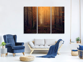 3-piece-canvas-print-mysterious-forest