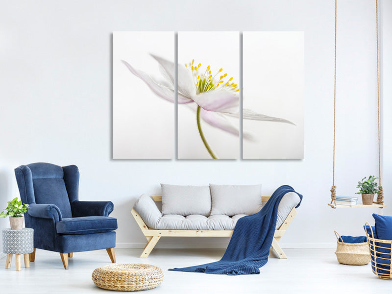 3-piece-canvas-print-nemorosa-iii