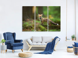 3-piece-canvas-print-red-fox