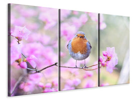 3-piece-canvas-print-spring-bird