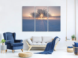 3-piece-canvas-print-swan-lake