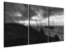 3-piece-canvas-print-the-wind-brings-the-night