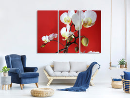 3-piece-canvas-print-white-orchids-on-red-wall