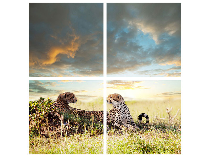 4-piece-canvas-print-cheetahs