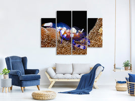 4-piece-canvas-print-peacock-tail-anemone-shrimp