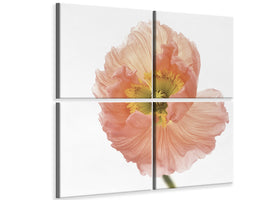 4-piece-canvas-print-poppy