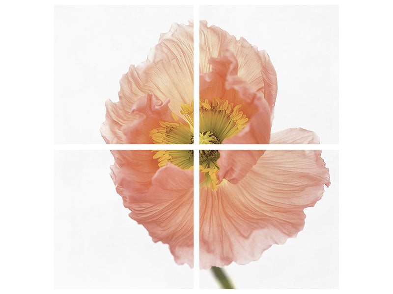 4-piece-canvas-print-poppy