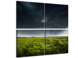 4-piece-canvas-print-sommergewitter-ii