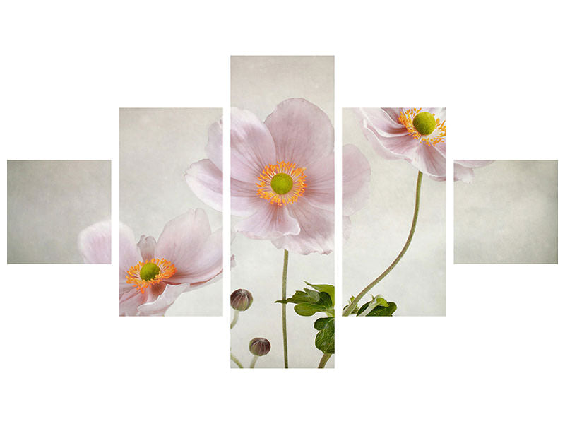 5-piece-canvas-print-anemones-ii