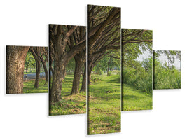 5-piece-canvas-print-mature-trees