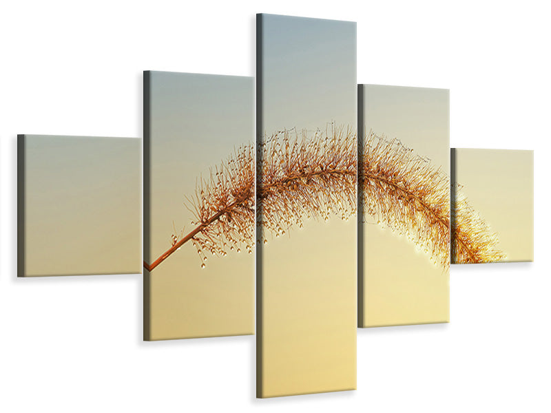 5-piece-canvas-print-ornamental-grass-in-xxl