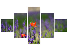 5-piece-canvas-print-poppy-in-the-lavender