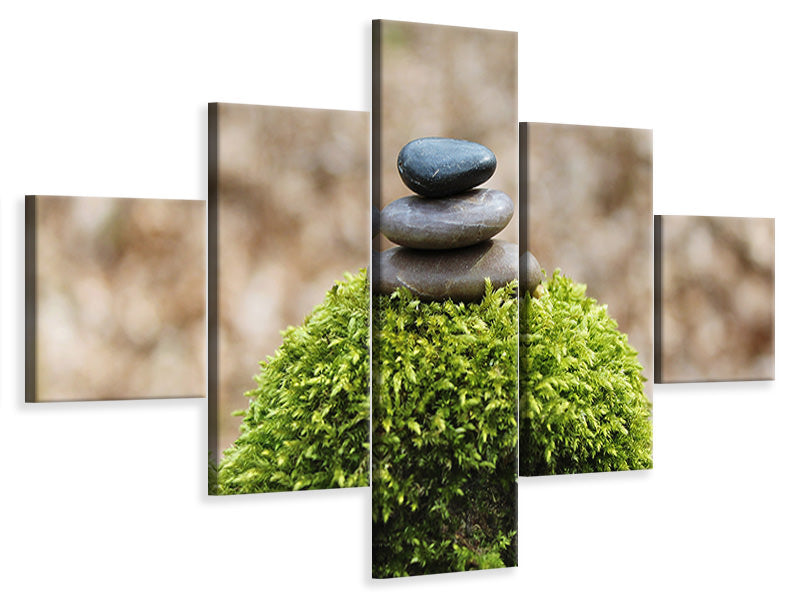 5-piece-canvas-print-stone-pile-on-plant