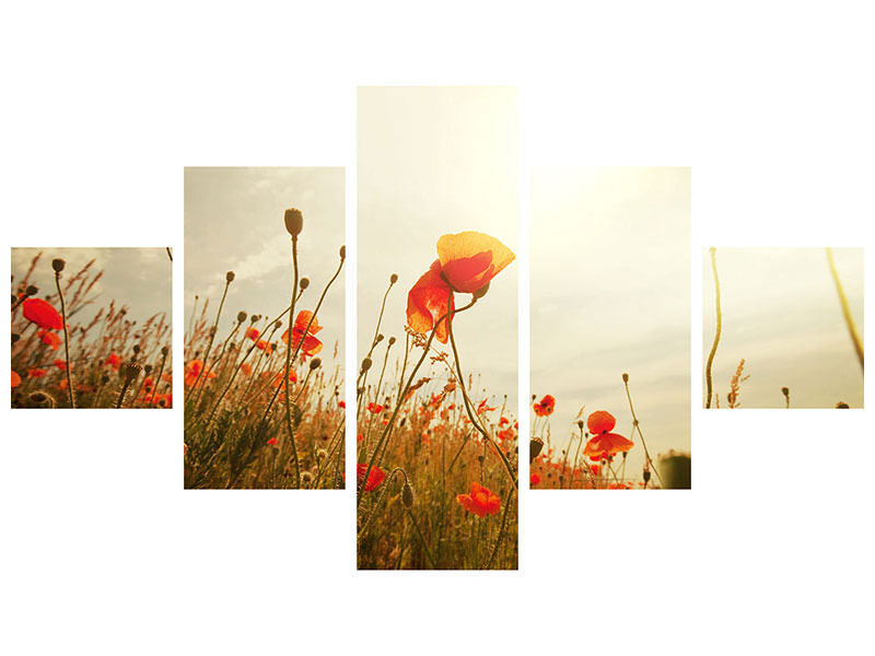 5-piece-canvas-print-the-poppy-field-at-sunrise