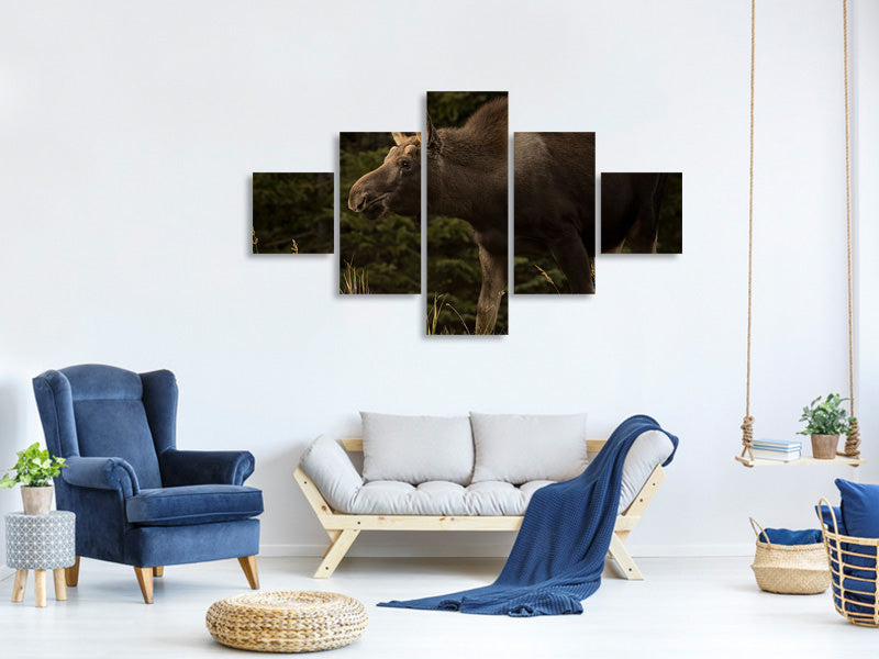 5-piece-canvas-print-young-moose-on-the-loose