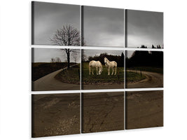 9-piece-canvas-print-reserve