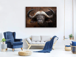 canvas-print-a-buffalo-portrait-x