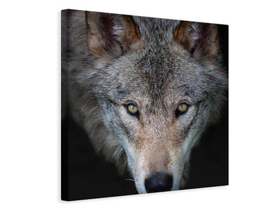 canvas-print-all-the-better-to-see-you-timber-wolf-x