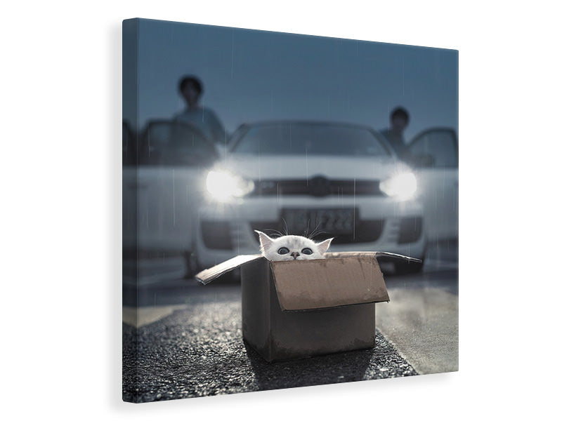 canvas-print-cat-a