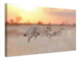 canvas-print-cheetah-hunting-a-gazelle-x