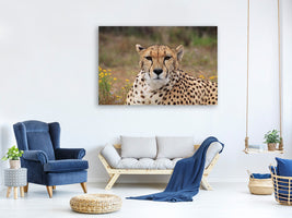 canvas-print-cheetah-xl