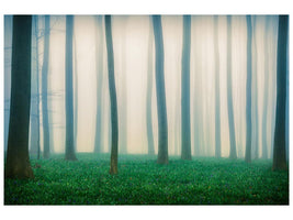 canvas-print-daydreaming-of-bluebells-x