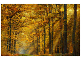 canvas-print-enchanted-forest-x