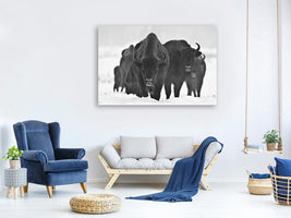 canvas-print-european-bizons-x