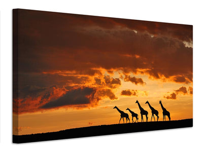 canvas-print-five-giraffes-x