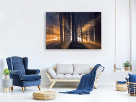canvas-print-forest-x
