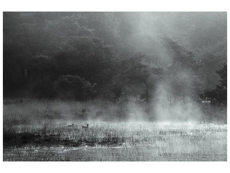 canvas-print-morning-at-the-moor-x