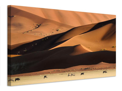 canvas-print-namib-dunes-x