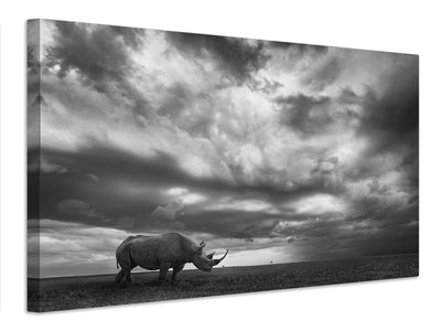 canvas-print-rhino-land-x