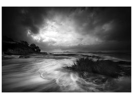 canvas-print-rushes-in-the-sea-x