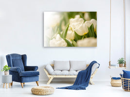 canvas-print-tulips-perspective