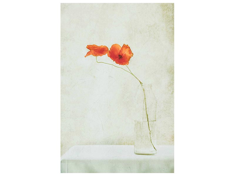 canvas-print-two-poppies-in-a-bottle-x