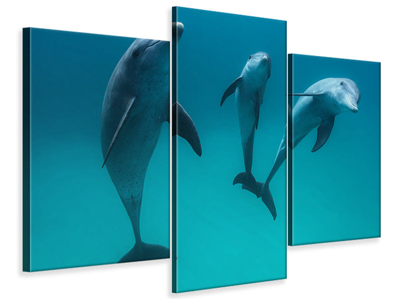 modern-3-piece-canvas-print-bottlenose-dolphins-ii