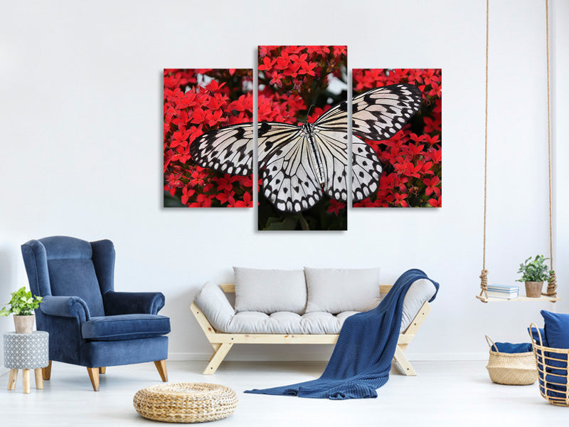 modern-3-piece-canvas-print-butterfly-in-xxl