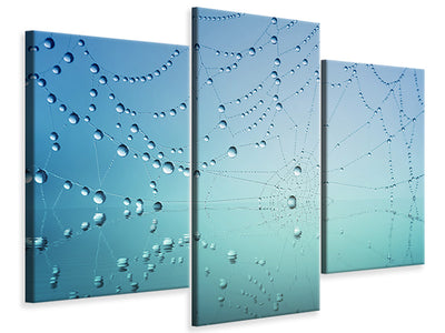 modern-3-piece-canvas-print-cobweb-in-morning-dew