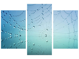 modern-3-piece-canvas-print-cobweb-in-morning-dew