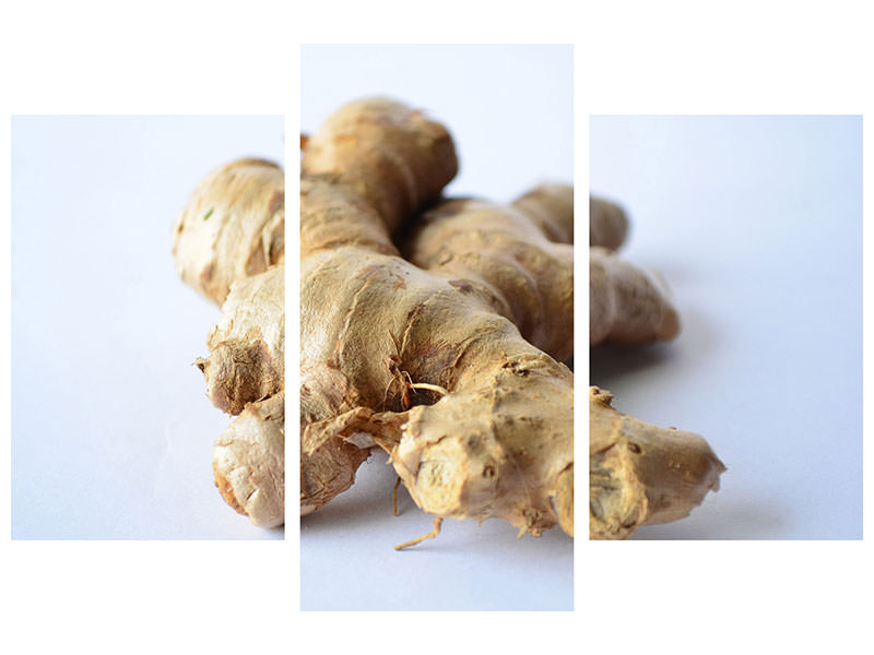 modern-3-piece-canvas-print-fresh-ginger-tuber